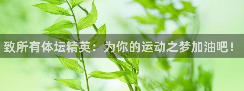 24体育app官方网站：致所有体坛精英：为你的运动之梦加油吧！