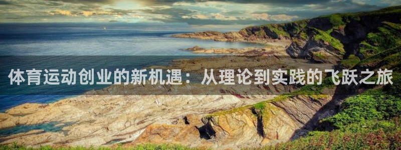 24体育打开怎么没有：体育运动创业的新机遇：从理论到实践的飞跃之旅