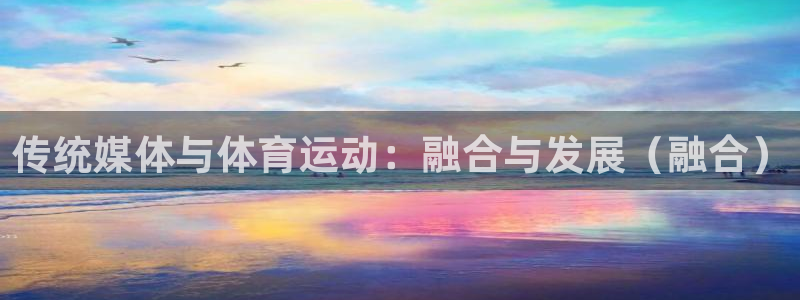 2024体育比赛：传统媒体与体育运动：融合与发展（融合）