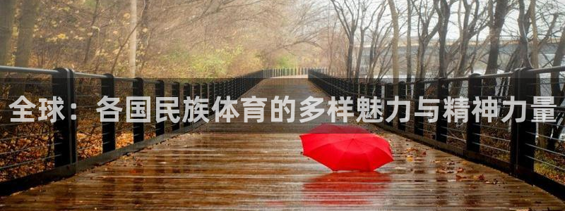 24体育网：全球：各国民族体育的多样魅力与精神力量