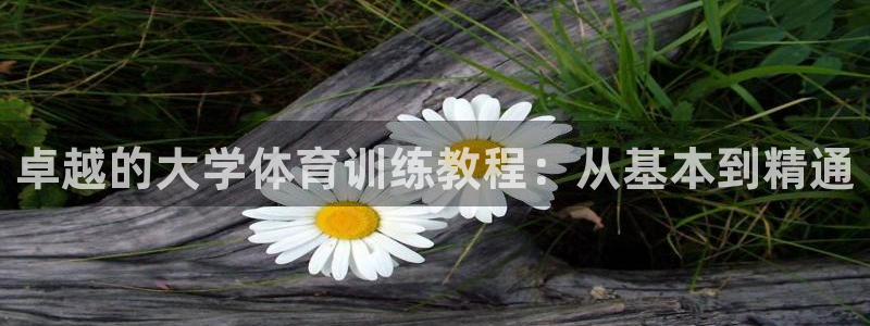 24体育打开怎么没有：卓越的大学体育训练教程：从基本到精通